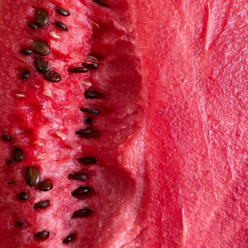 Watermelon Seed Protein
